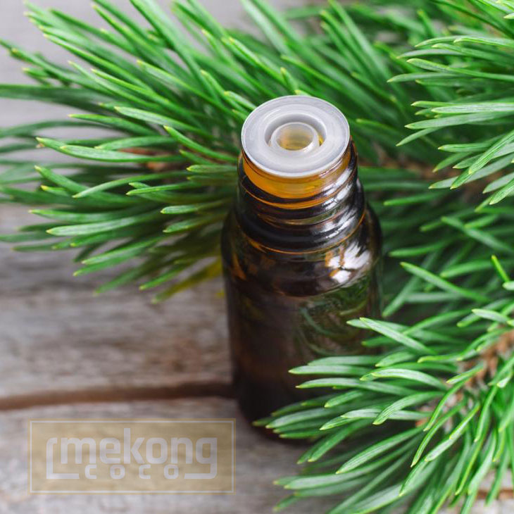 Da Lat Natural Pine essential oil with dropper
